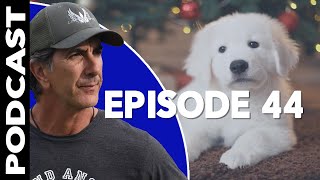 Puppies Don't Bite  Robert Cabral Podcast Episode 44
