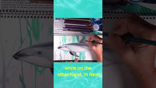 The Dusky dolphin Coloring page  #coloring #art  #coloringbook #watercolor #arttutorial #drawing