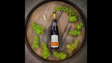 How Many Grapes are in a Bottle of Wine?