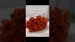 Когда отвернулся весь мир #мирра #мирвовсеммире #мирбезграниц #мир_кораблей #свободаволи #воля