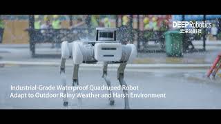Protective Jueying丨Industrial-Grade Waterproof Quadruped Robot