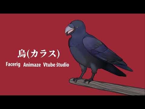 Live2D アバター烏(カラス)Crow