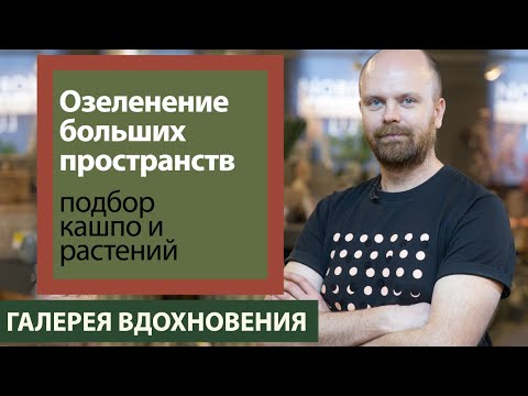 Озеленение больших пространств. Подбор кашпо и растений. Фитодизайнер Михаил Глазков