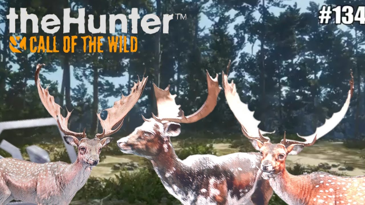 The Hunter Call Of The Wild Diamant Tiere Finden #134 2x Diamant und einmal Rare (Let's Play) | the Hunter call of the