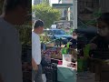 Explora nuestra selección colorida