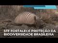 Suprema Corte fortalece proteção da biodiversidade brasileira e de biomas ameaçados