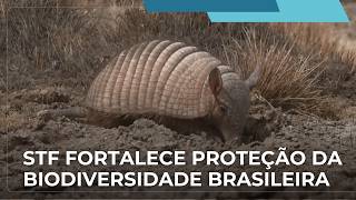 Suprema Corte fortalece proteção da biodiversidade brasileira e de biomas ameaçados
