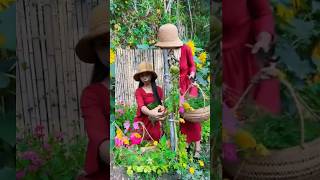 Enjoy beautiful nature with rural life # 418 #fruits #ytshorts