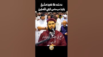 تلاوة الشيخ وليد مهساس تبكي المصلين #قرآن #quran #religion #foryou #explore