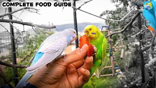 Secret List of Foods Your Budgie Will LOVE