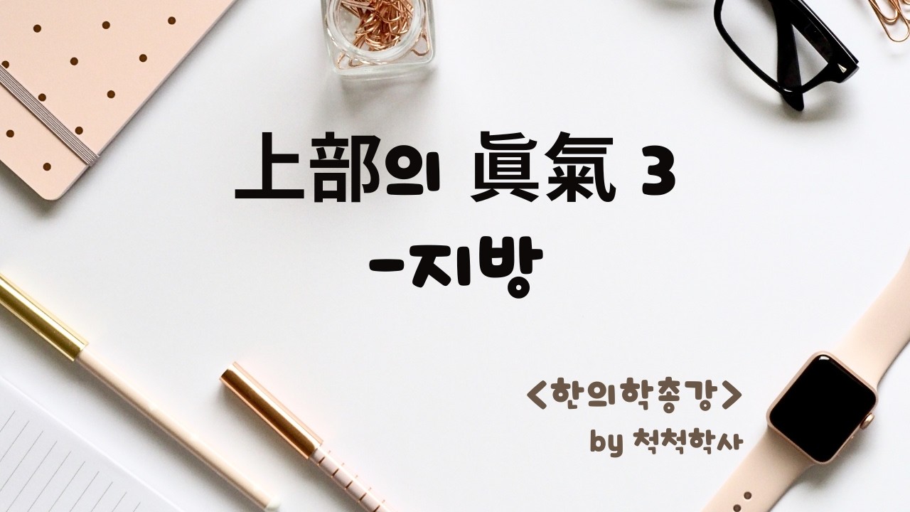 기 - 2-2. 생리적 관점에서의 기 - 상부의 진기 3 - 지방