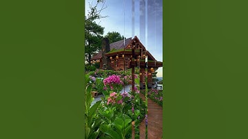 Miền du mục - Đà Lạt - Hoa cẩm tú cầu P1