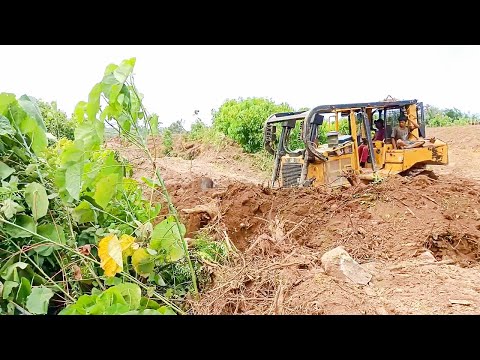 Video: Kaip turėti raumeningas rankas: 13 žingsnių (su nuotraukomis)