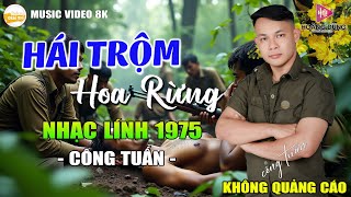 21-05 Mở Nhẹ Nhàng Lk Công Tuấn 2025 Đặc Biệt Hay - Lk Nhạc Vàng Xưa Nghe Thư Giãn Quên Hết Mệt Mỏi