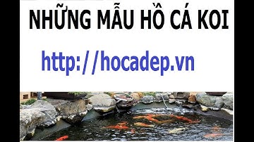 THI CÔNG HỒ KOI HỒ KOI ĐÁ CỔ THẠCH BÁC HÂN GAMUDA mp4