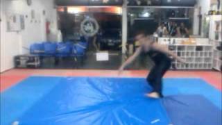 Sampler - tricks - academia wushu