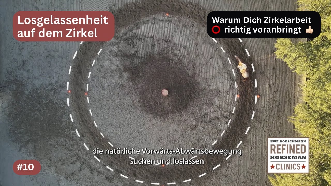 Zirkel in Losgelassenheit & Nachgiebigkeit  - Basic foundation - Exercise #10