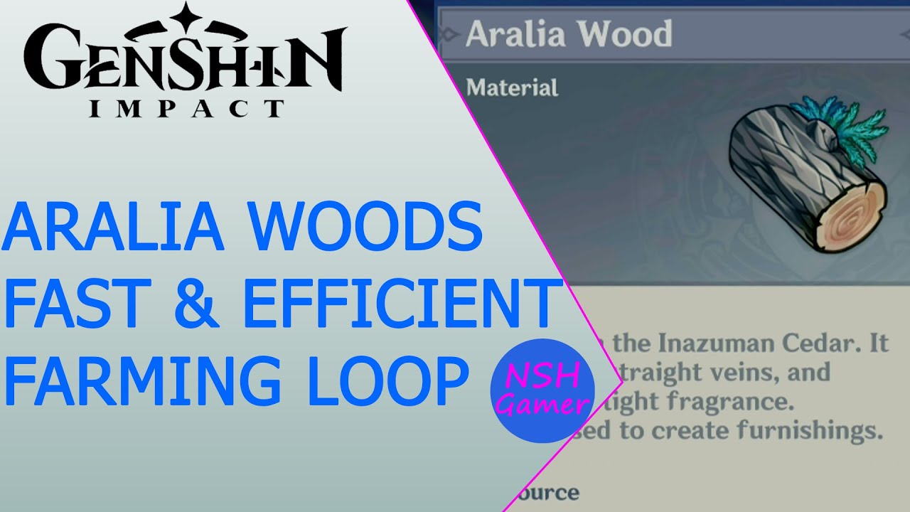 Fast & Effective Aralia Woods Farming Route (Bonus Otogi Woods