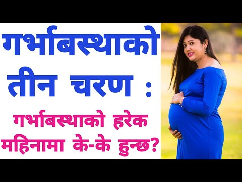 गर्भाबस्थाको तीन चरण : कुन महिनामा के हुन्छ र के गर्नुपर्छ? Three Trimesters of Pregnancy.healthtips