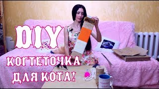 DIY Вертикальная когтеточка для котов! Реанимируем старую когтеточку! The Alice Twins #20 DIY Вертикальная когтеточка для котов! Реанимируем старую когтеточку! The Alice Twins #20