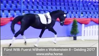 Fürst Willi: FUERST WILHELM x WOLKENSTEIN II Resimi