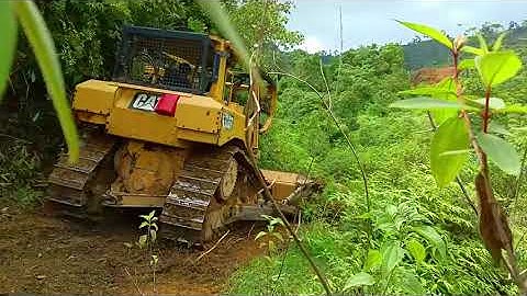 Efficient Land Clearing D6R XL Bulldozer Displays Power in Oil Palm Plantations