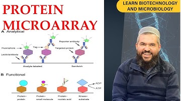 Protein Microarray Part 2; Types of Protein Microarray, Applications and challenges