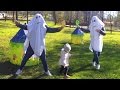 Приведение Каспер в Лесу / Bringing Casper to the Forest