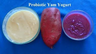 Probiotic Yam Yogurt
