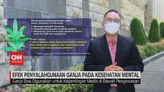 Efek Penyalahgunaan Ganja pada Kesehatan Mental