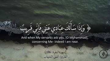 تلاوة هادئة - سورة البقرة - آية (186) - للقارئ الصغير: أنس الشهاب