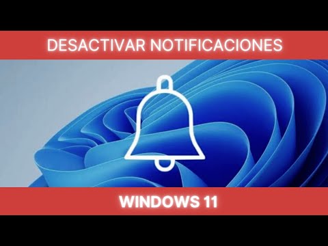 Como desactivar las Notificaciones en Windows 11