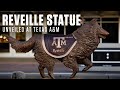 Reveille Statue Unveiling at Texas A&amp;M