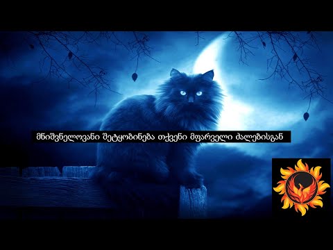 მნიშვნელოვანი შეტყობინება თქვენი მფარველი ძალებისგან (Nevilis Tarologia)