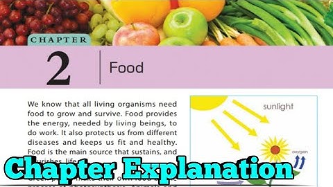 Dav Food Chapter Cllass 6 || Food Chapter Class 6 in Hindi Explanation Part 2