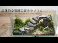 【苔テラリウムの作り方】立体的な石段のある苔テラリウム｜How to make a moss terrarium with stone stairs #20