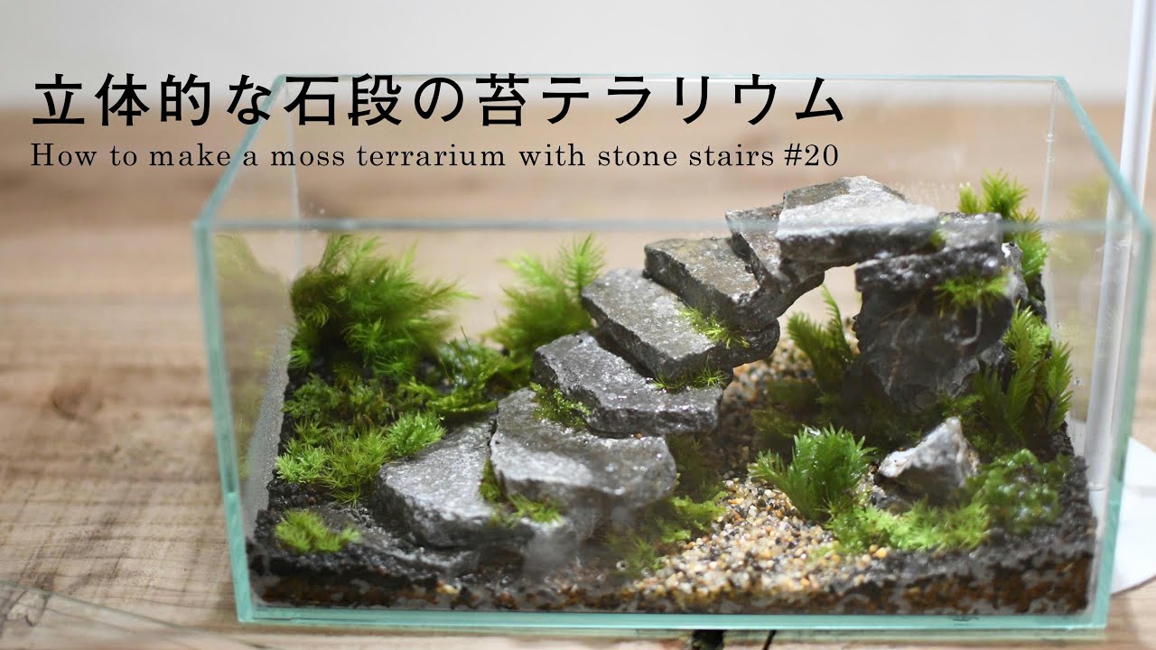 苔テラリウムの作り方 立体的な石段のある苔テラリウム How To Make A Moss Terrarium With Stone Stairs Youtube