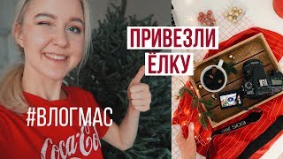НАМ ПРИВЕЗЛИ ЕЛКУ! / Новогодние съёмки