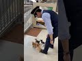 子猫5匹が駅員さんの後ろで行列…「できてる！」が可愛すぎ🐱🐱🐱 #cat #猫 #JR #station #japan @chiero_piero