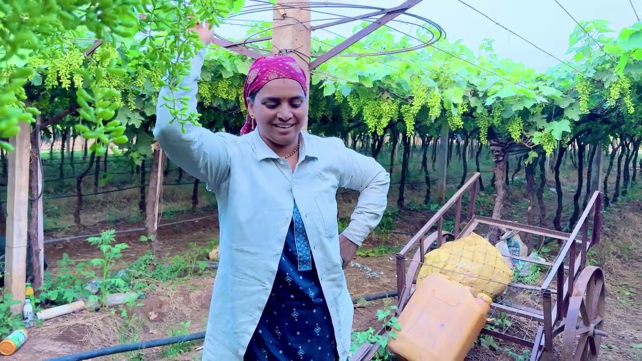 त्या भवाणीच्या पायात संसाराचं पार वाटोळं केलं ……