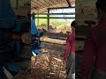 Wood debarking big machine styles working part 307 #viral #woodworking #shorts #wood