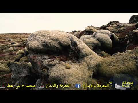 تلاوة تقشعر لها الأبدان أواخر سورة الحشر بصوت الشيخ عبدالله كامل لا تنسى الاشتراك بالقناة وشكر