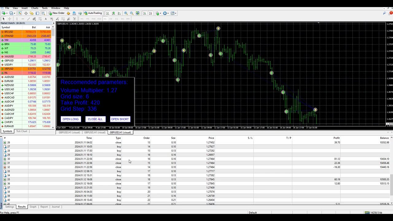 Grid Maestro functional demonstration