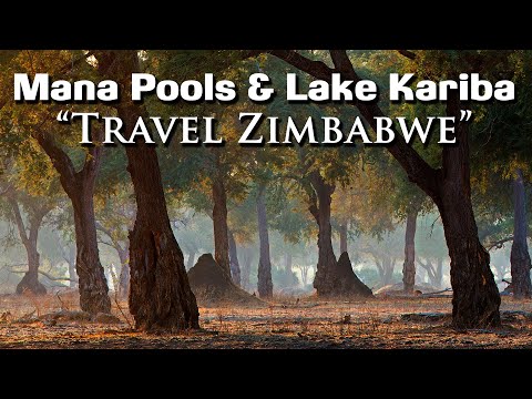 Mana Pools & Lake Kariba - Travel Zimbabwe
