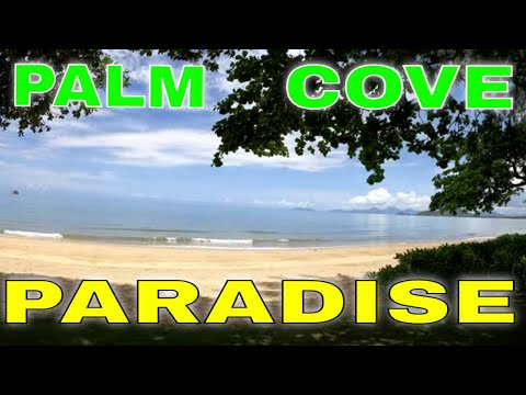 PALM COVE ADVENTURE. A BEACH PARADISE IN CAIRNS AUSTRALIA WITH PAULSOUTDOOR