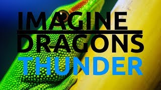 Imagine dragons - Thunder ПАРОДИЯ