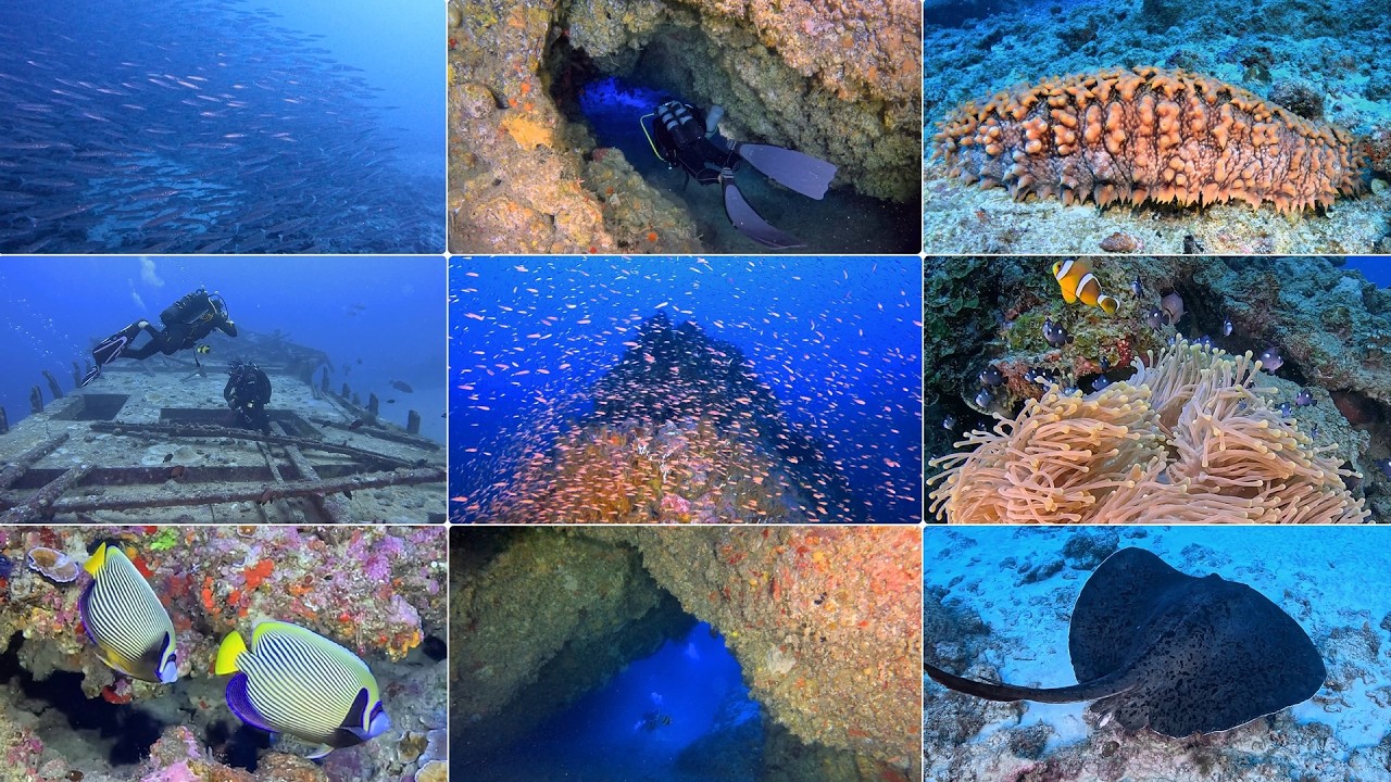 Scuba Diving Mauritius 2025 - Part 3