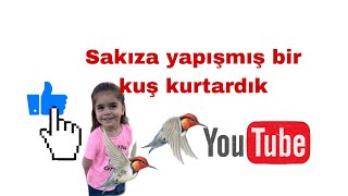 Lütfen Yerlere Sakiz Atmayalım 