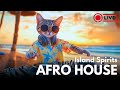 Island Spirits рџЊєрџЊЉ Tribal Afro House Mix With Hawaiian Rhythms Island Spirits рџЊєрџЊЉ Tribal Afro House Mix With Hawaiian Rhythms