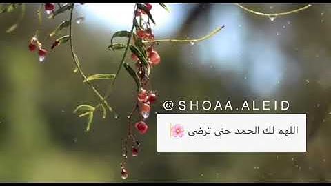 وإن تعدوا نعمة الله لا تحصوها ( سورة إبراهيم) - رعـد الكـردي